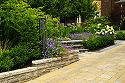 Natural Stone Pavers, Boynton Beach, FL