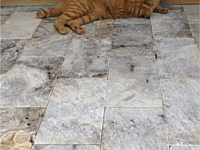 Natural Stone Pavers