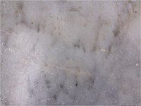 Travertine Tumbled Marble Colors