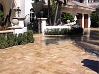 Walnut Travertine Marble